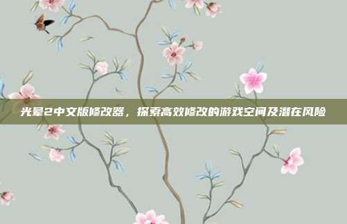 光晕2中文版修改器,探索高效修改的游戏空间及潜在风险