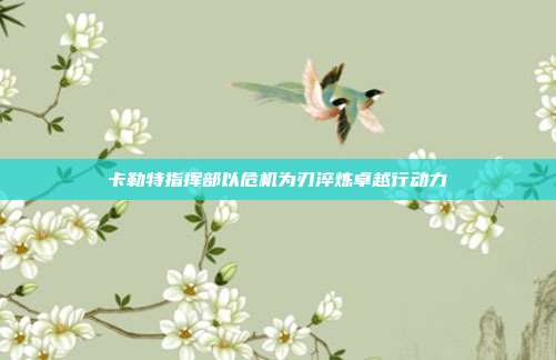 卡勒特指挥部以危机为刃淬炼卓越行动力