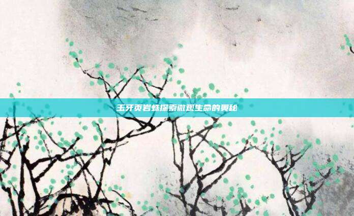 玉牙页岩蛛探索微观生命的奥秘