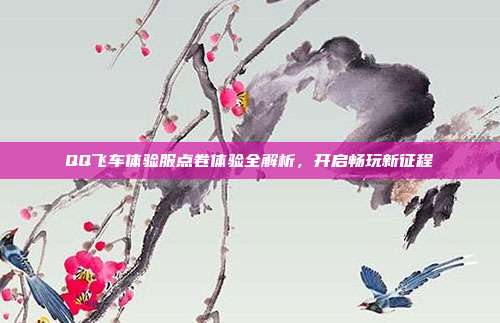 QQ飞车体验服点卷体验全解析,开启畅玩新征程