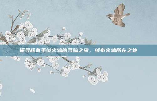 探寻稀有毛绒火鸡的寻踪之旅,绒布火鸡所在之处