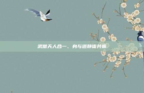 武僧天人合一、身与道静谧共振