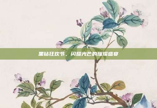 黑钻狂欢节,闪耀光芒的璀璨盛宴