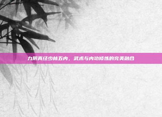 九阴真经少林五内,武术与内功修炼的完美融合