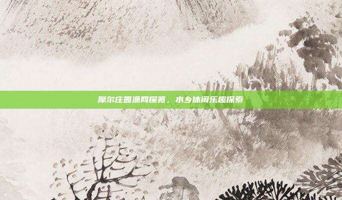 摩尔庄园渔网探览,水乡休闲乐趣探索