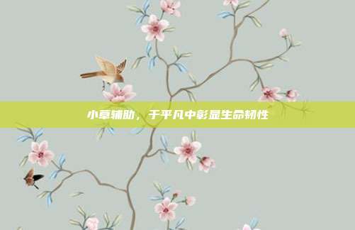 小草辅助,于平凡中彰显生命韧性