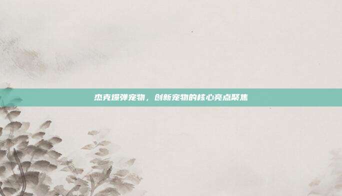 杰克爆弹宠物,创新宠物的核心亮点聚焦