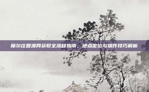 摩尔庄园渔网获取全流程指南,地点定位与操作技巧解析