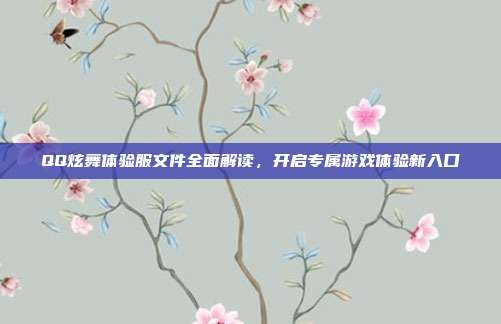 QQ炫舞体验服文件全面解读,开启专属游戏体验新入口
