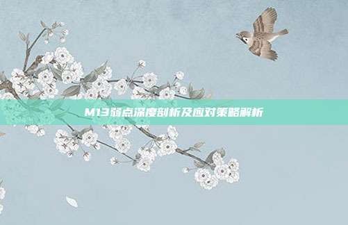 M13弱点深度剖析及应对策略解析