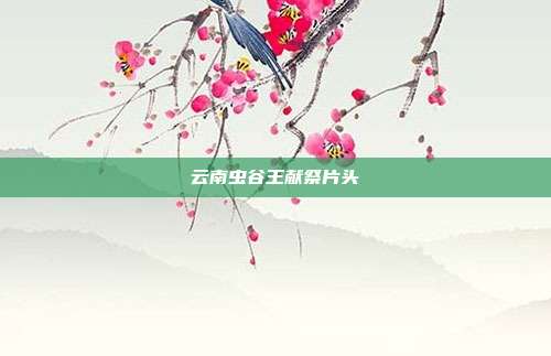 云南虫谷王献祭片头