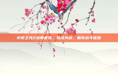 火炬之光2法师套装,以法为剑,照亮战斗征程