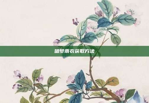 暗梦雨衣获取方法