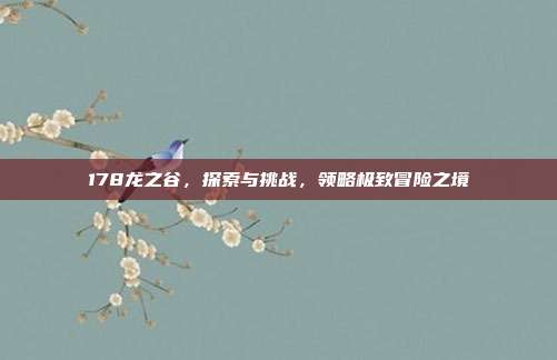 178龙之谷,探索与挑战,领略极致冒险之境