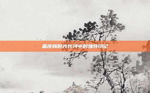 盖皮梅时光长河中的独特印记