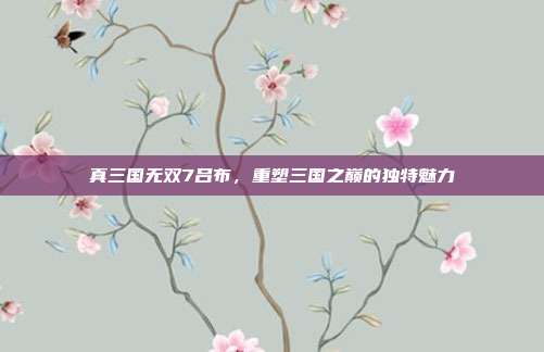 真三国无双7吕布,重塑三国之巅的独特魅力