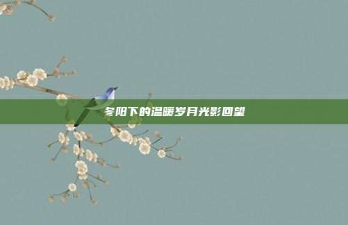 冬阳下的温暖岁月光影回望