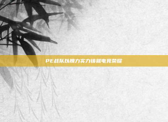 PE战队以魄力实力铸就电竞荣耀