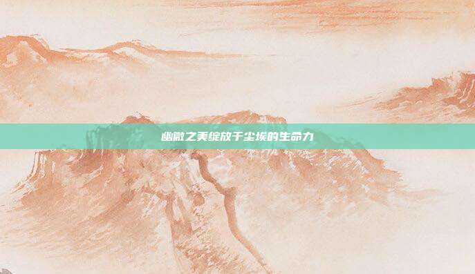 幽微之美绽放于尘埃的生命力