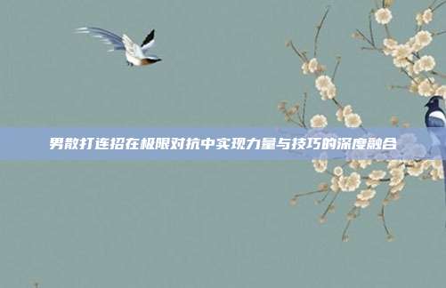 男散打连招在极限对抗中实现力量与技巧的深度融合