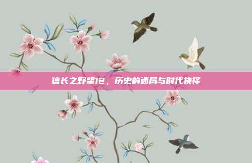 信长之野望12,历史的迷局与时代抉择