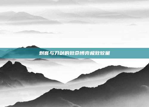 刺客与刀剑的致命博弈极致较量