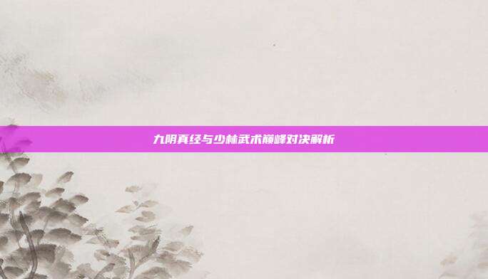 九阴真经与少林武术巅峰对决解析