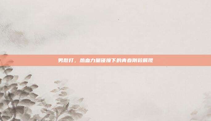 男散打,热血力量碰撞下的青春刚毅展现