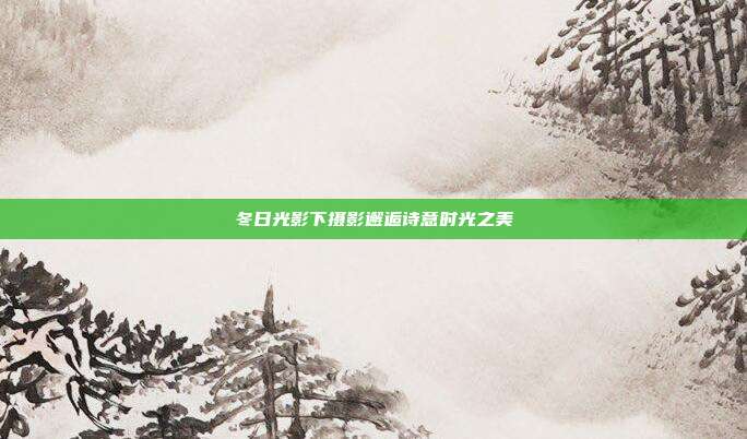 冬日光影下摄影邂逅诗意时光之美
