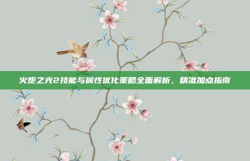 火炬之光2技能与属性优化策略全面解析,精准加点指南