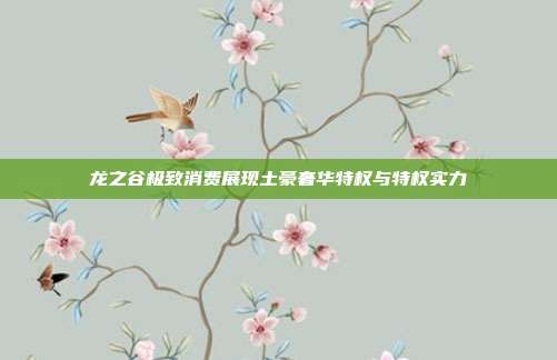 龙之谷极致消费展现土豪奢华特权与特权实力
