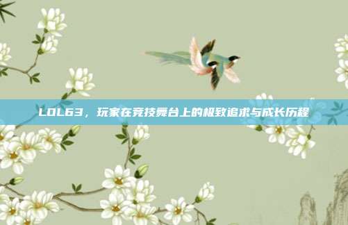 LOL63,玩家在竞技舞台上的极致追求与成长历程