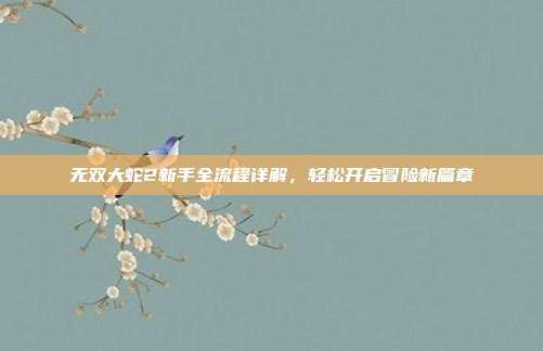 无双大蛇2新手全流程详解,轻松开启冒险新篇章