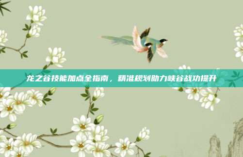 龙之谷技能加点全指南,精准规划助力峡谷战功提升