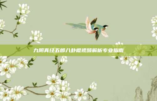九阴真经五郎八卦棍视频解析专业指南