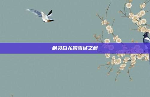 剑灵白龙鳞雪域之剑