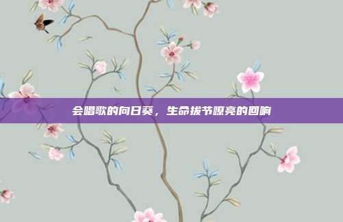 会唱歌的向日葵,生命拔节嘹亮的回响