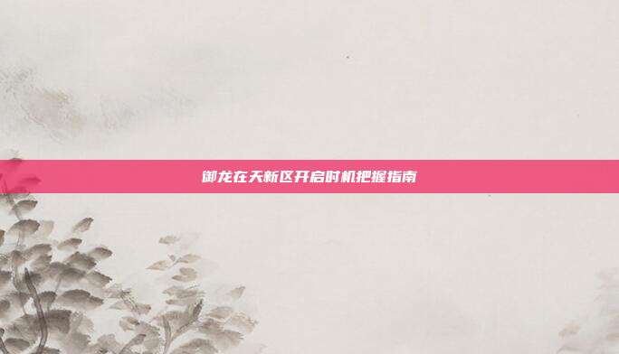 御龙在天新区开启时机把握指南