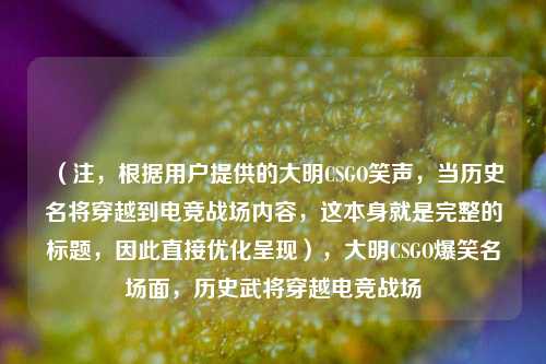 (注,根据用户提供的大明CSGO笑声,当历史名将穿越到电竞战场内容,这本身就是完整的标题,因此直接优化呈现),大明CSGO爆笑名场面,历史武将穿越电竞战场
