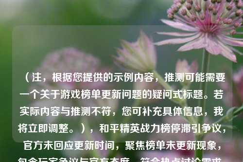 （注，根据您提供的示例内容，推测可能需要一个关于游戏榜单更新问题的疑问式标题。若实际内容与推测不符，您可补充具体信息，我将立即调整。），和平精英战力榜停滞引争议，官方未回应更新时间，聚焦榜单未更新现象，包含玩家争议与官方态度，符合热点讨论需求。如需调整侧重点，请提供更多细节。）