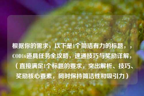 根据你的需求,以下是1个简洁有力的标题,,COD16道具任务全攻略,速通技巧与奖励详解,(直接满足1个标题的要求,突出解析、技巧、奖励核心要素,同时保持简洁性和吸引力)
