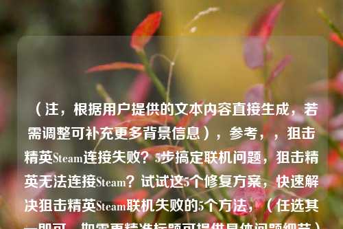 （注，根据用户提供的文本内容直接生成，若需调整可补充更多背景信息），参考，，狙击精英Steam连接失败？5步搞定联机问题，狙击精英无法连接Steam？试试这5个修复方案，快速解决狙击精英Steam联机失败的5个方法，（任选其一即可，如需更精准标题可提供具体问题细节）