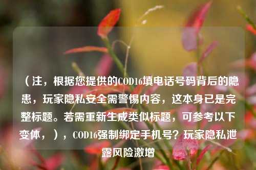 (注,根据您提供的COD16填电话号码背后的隐患,玩家隐私安全需警惕内容,这本身已是完整标题。若需重新生成类似标题,可参考以下变体,),COD16强制绑定手机号?玩家隐私泄露风险激增