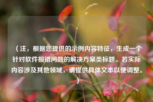 (注,根据您提供的示例内容特征,生成一个针对软件报错问题的解决方案类标题。若实际内容涉及其他领域,请提供具体文本以便调整。)