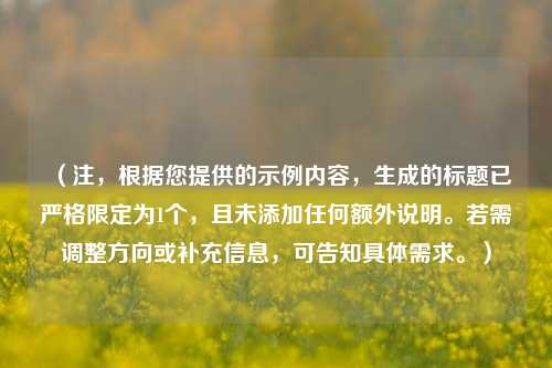 (注,根据您提供的示例内容,生成的标题已严格限定为1个,且未添加任何额外说明。若需调整方向或补充信息,可告知具体需求。)