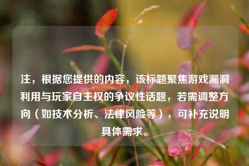 注，根据您提供的内容，该标题聚焦游戏漏洞利用与玩家自主权的争议性话题，若需调整方向（如技术分析、法律风险等），可补充说明具体需求。