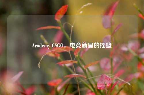 Academy CSGO,电竞新星的摇篮