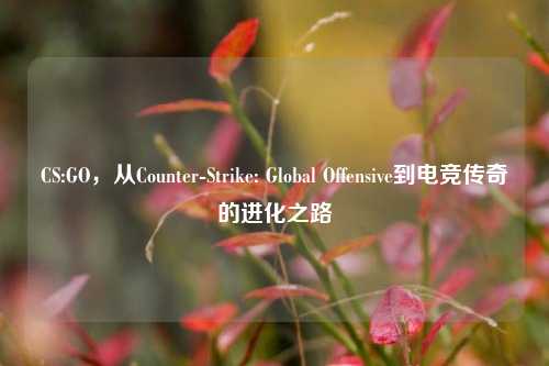CS:GO,从Counter-Strike: Global Offensive到电竞传奇的进化之路
