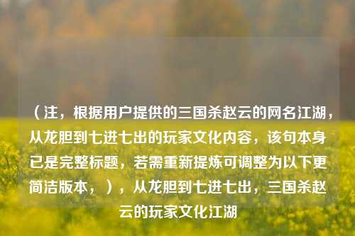 (注,根据用户提供的三国杀赵云的网名江湖,从龙胆到七进七出的玩家文化内容,该句本身已是完整标题,若需重新提炼可调整为以下更简洁版本,),从龙胆到七进七出,三国杀赵云的玩家文化江湖