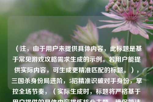 (注,由于用户未提供具体内容,此标题是基于常见游戏攻略需求生成的示例。若用户能提供实际内容,可生成更精准匹配的标题。),三国杀身份局进阶,5招精准识破对手身份,掌控全场节奏,(实际生成时,标题将严格基于用户提供的具体内容提炼核心主题,确保简洁有力且不重复。)